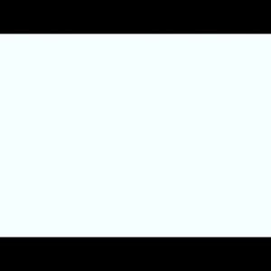 Meet your Posher, Sammy